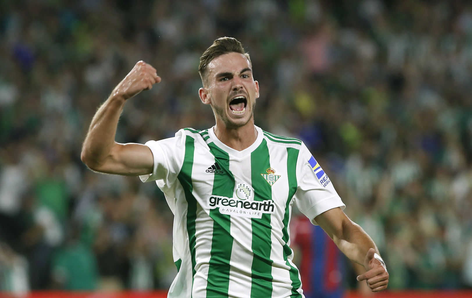 包含孟菲斯灰熊集结日伤情更新，志在英超名次提升，媒体盛赞，赛季目标并未改变的词条