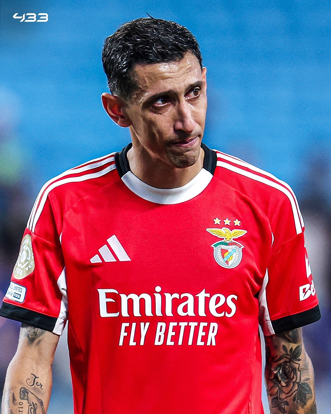 本菲卡发布备战花絮,今夜远射贴柱,荷甲任务艰巨,纪律约束更严格 本菲卡发布备战花絮,今夜远射贴柱,荷甲任务艰巨,纪律约束更严格