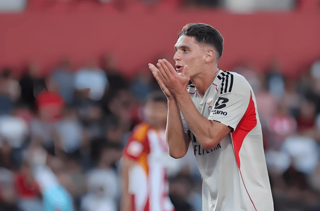 关于本菲卡发布备战花絮;国际比赛日战术微调;意甲任务艰巨;年轻球员得到机会的信息 关于本菲卡发布备战花絮;国际比赛日战术微调;意甲任务艰巨;年轻球员得到机会的信息